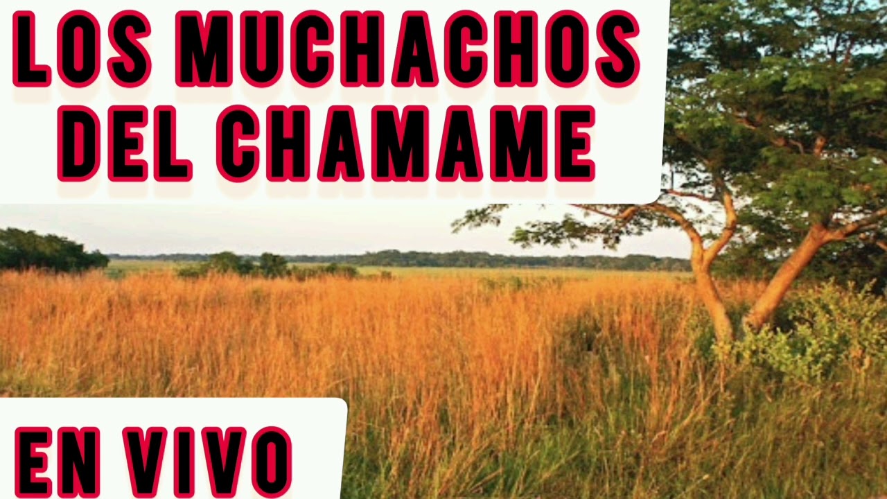LOS MUCHACHOS DEL CHAMAME - EN VIVO FAMILIA CABALLERO