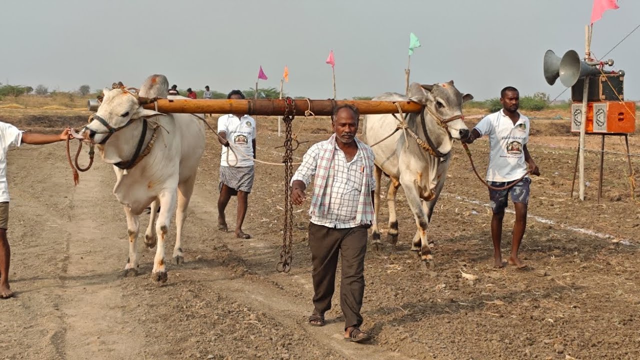 తలపనూరు 6పల్లలో,13వ జత,బత్తల.మనోహర్ యాదవ్ గారు,దొర్నిపాడు