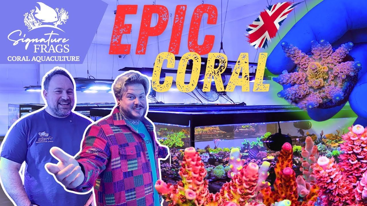 INSIDE the EPIC Signature Frags Coral Farm | PLUS Tips & Tricks For Saltwater Aquarium Success!
