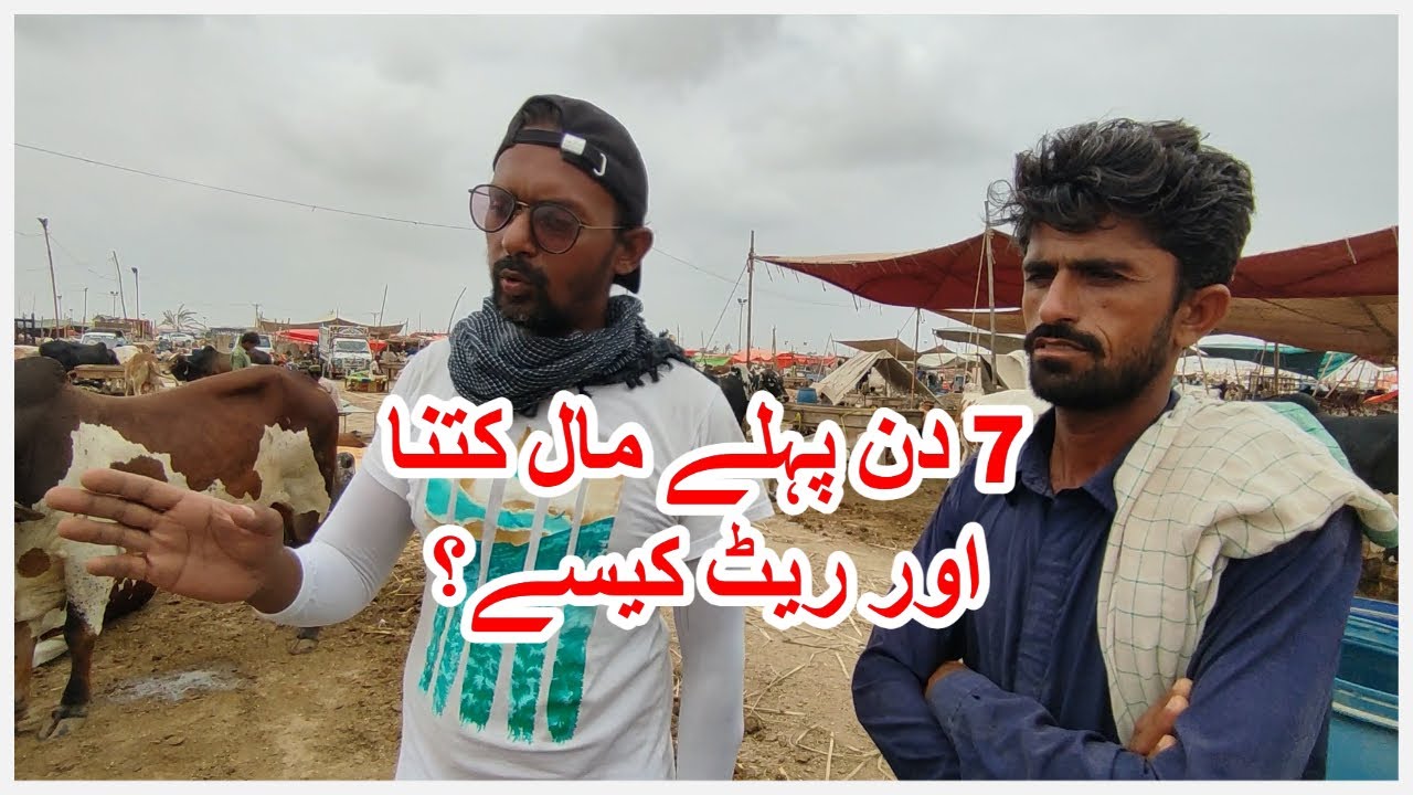 7 Din Pehlay Maal Kitna Aur Rate Kaisay? Northern Bypass Maweshi Mandi 2023.