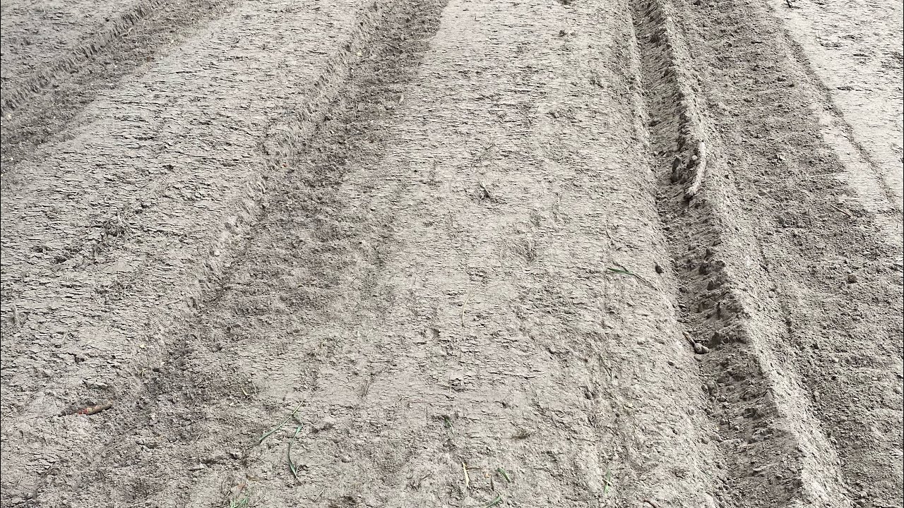 Kubota L3901 tilling up the 20x90 cream40 pea garden!“The cream of the crop” Lol