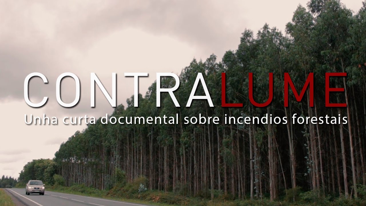CONTRALUME - Documental sobre incendios forestais