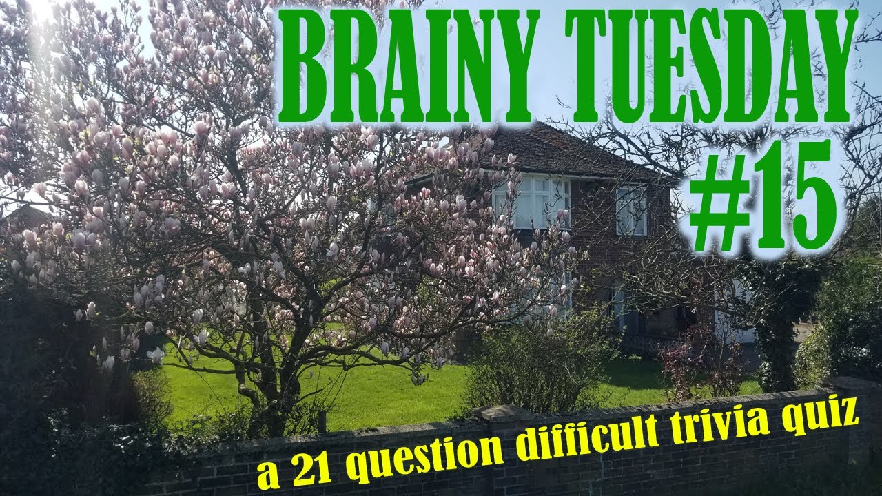 BRAINY TUESDAY #15 -21 random category DIFFICULT trivia questions - PUB QUIZ {ROAD TRIpVIA- ep:497]