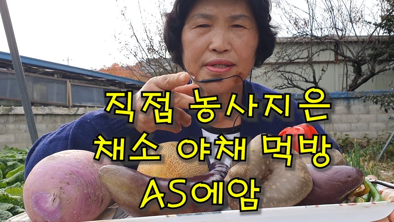 먹방) AS엘암으로 직접 농사지은 채소 야채 먹방 마지막 청량고추ㅋㅋㅋㅋㅋㅋㅋㅋㅋㅋ