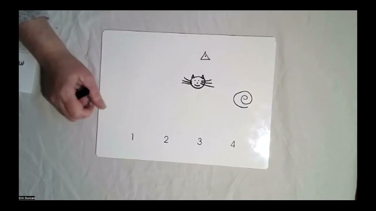PhonoGraphix Advanced Decoding Week 4 with Erin Duncan