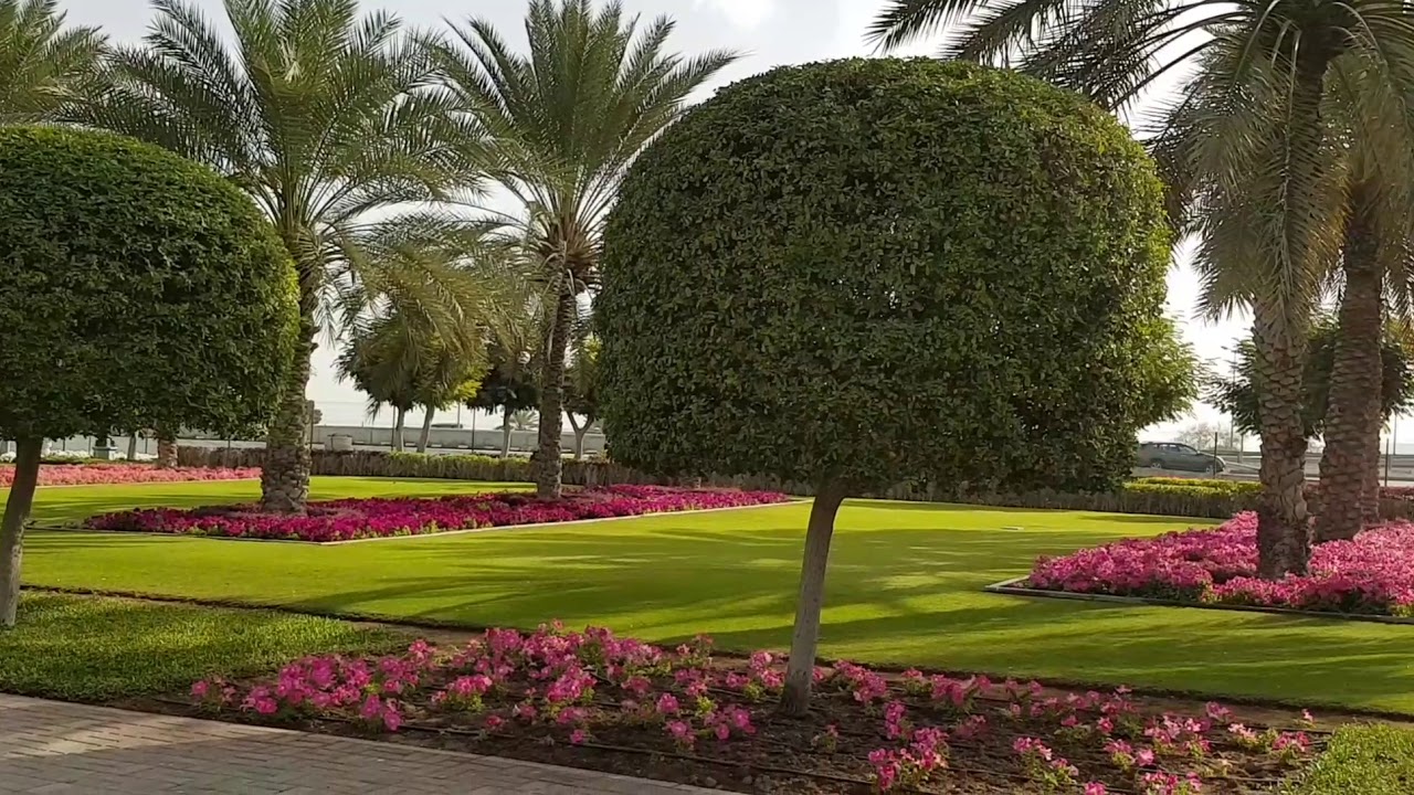 Al Sahva park|Garden of flowers|Esthetically beautiful|Al Sahwa Park