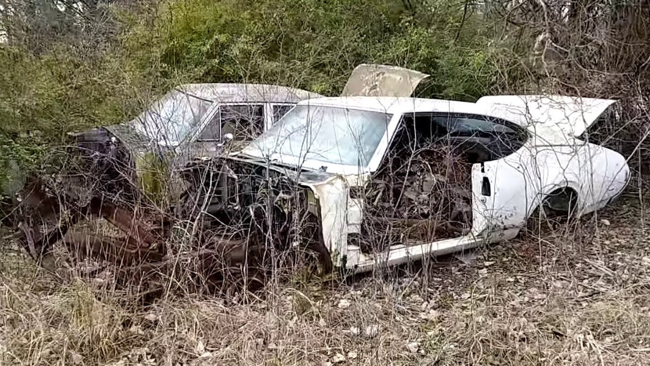 Junkyard walk around...A Bunch of Classics