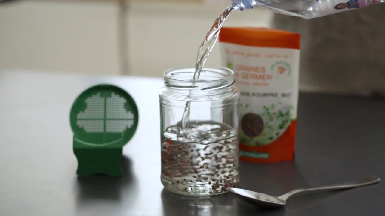 Tuto Glass Jar Sprouter - Germline