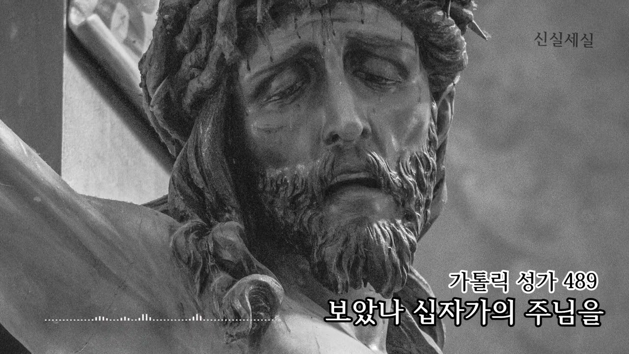 [가톨릭 성가 489번] 보았나 십자가의 주님을 / 신실세실 / 사순 / Catholic Hymn / 마음의 묵상이 되는 성가