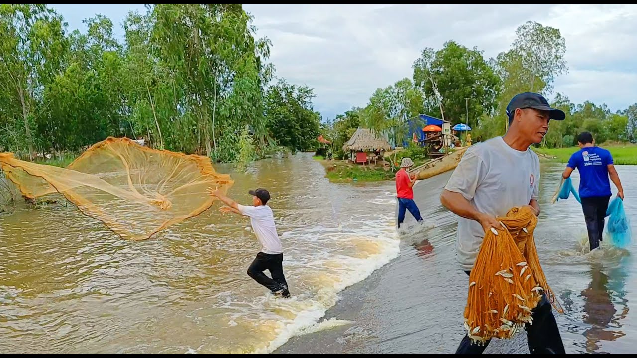 Amazing! Cambodia Cast Net Fishing, Catch A Lot Of Fish, Countryside Street Food, Traditional Market