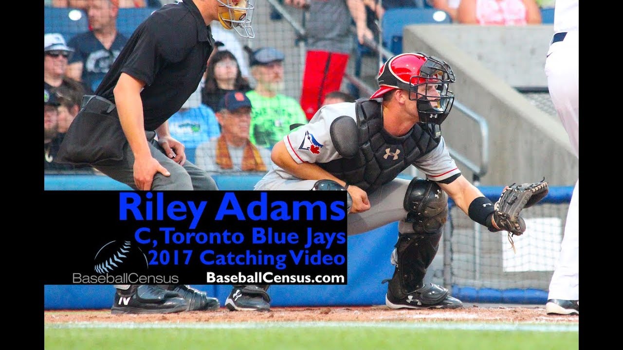 Riley Adams, Toronto Blue Jays &mdash; 2017 Catching Video