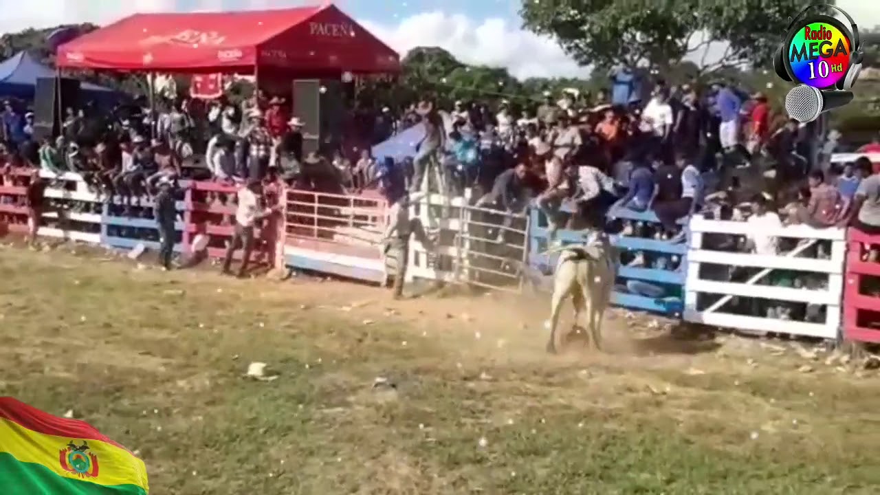 Sonido Novak  Apoleño soy