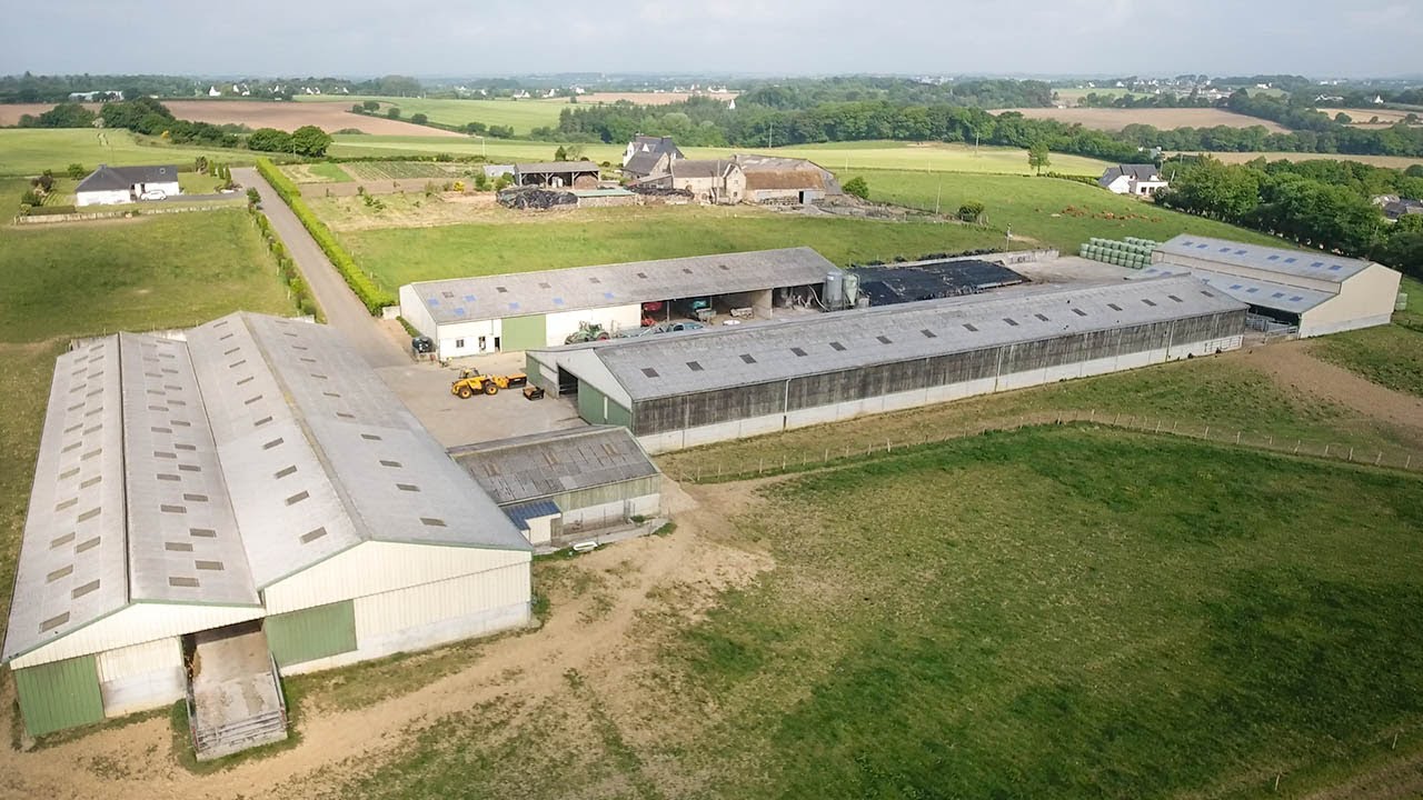 Une journée d'été à la Ferme !