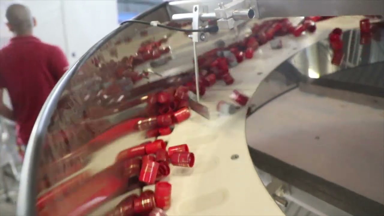 Rotary Feeder For Cap