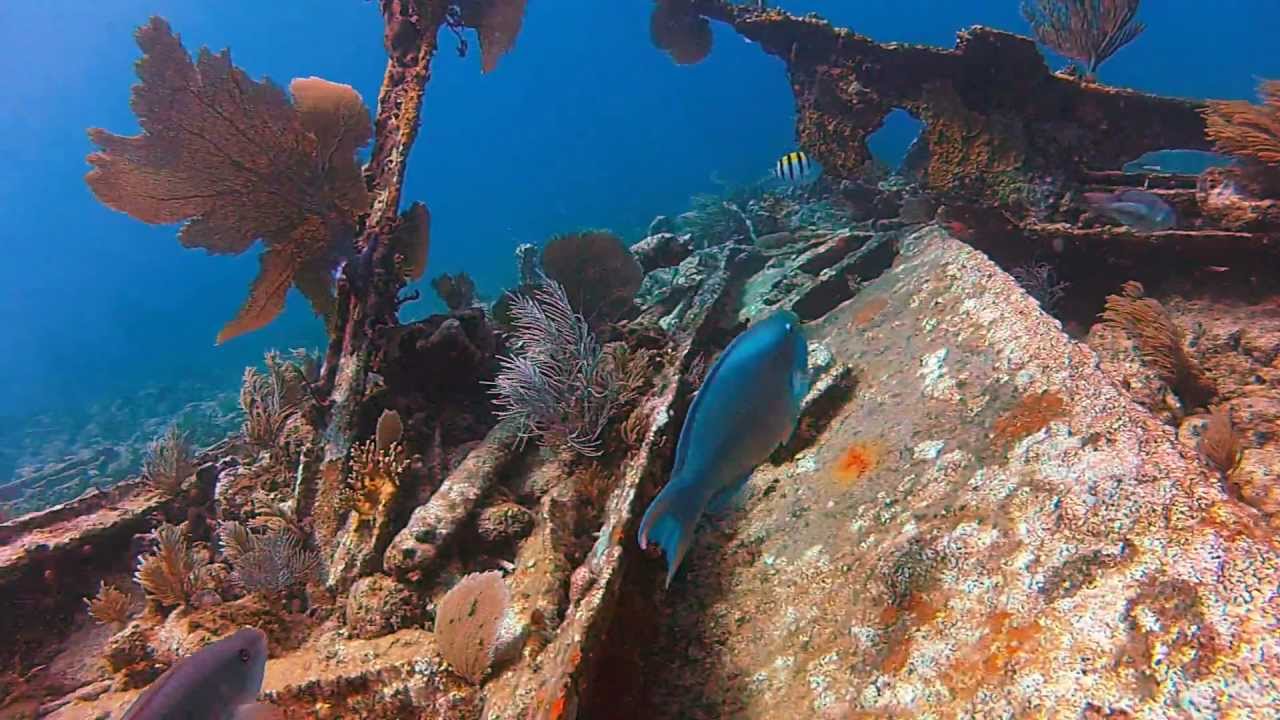 Florida Keys Scuba Diving - GoPro Hero2 - Full HD