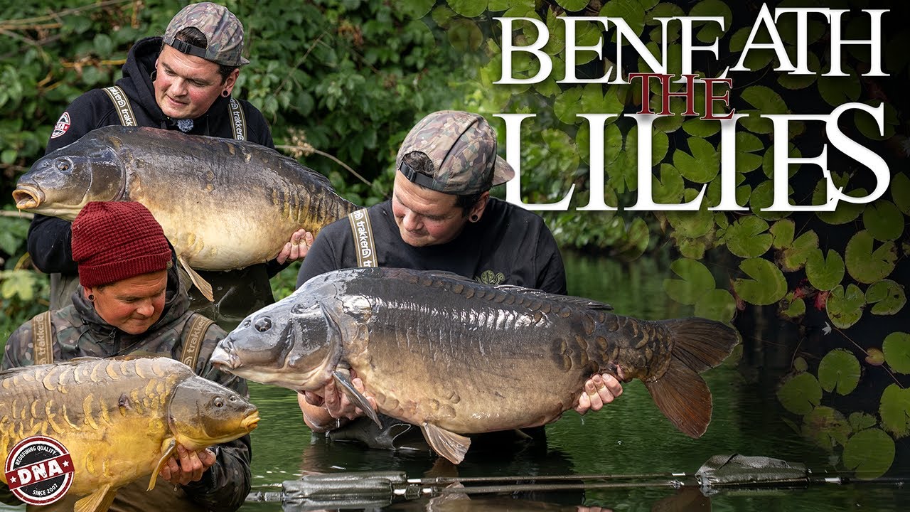 BENEATH THE LILIES – THE FULL CAMPAIGN | DNA BAITS | FEATURE-LENGTH FILM | CARP FISHING | 102 MINS