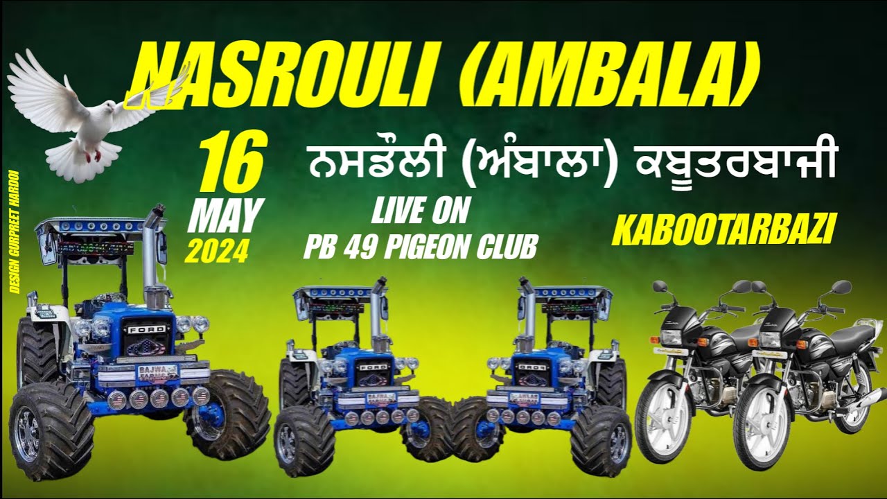 PIND NASROULI( DISTT.AMBALA HR) LIVE KABOOTER BAZZI#PB49PIGEONCLUB