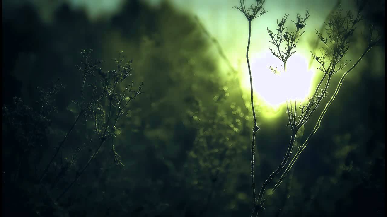 Ante Perry - Beach Power (Original Mix)