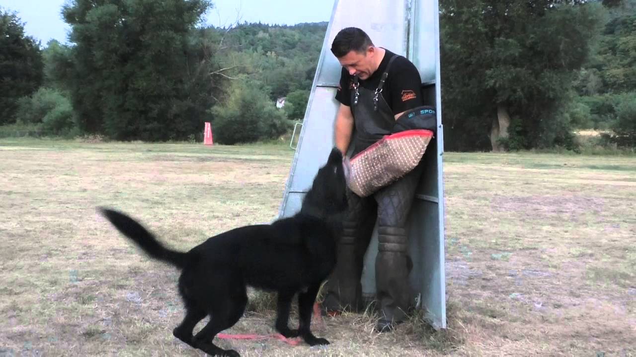 Ackey protection summer 2015