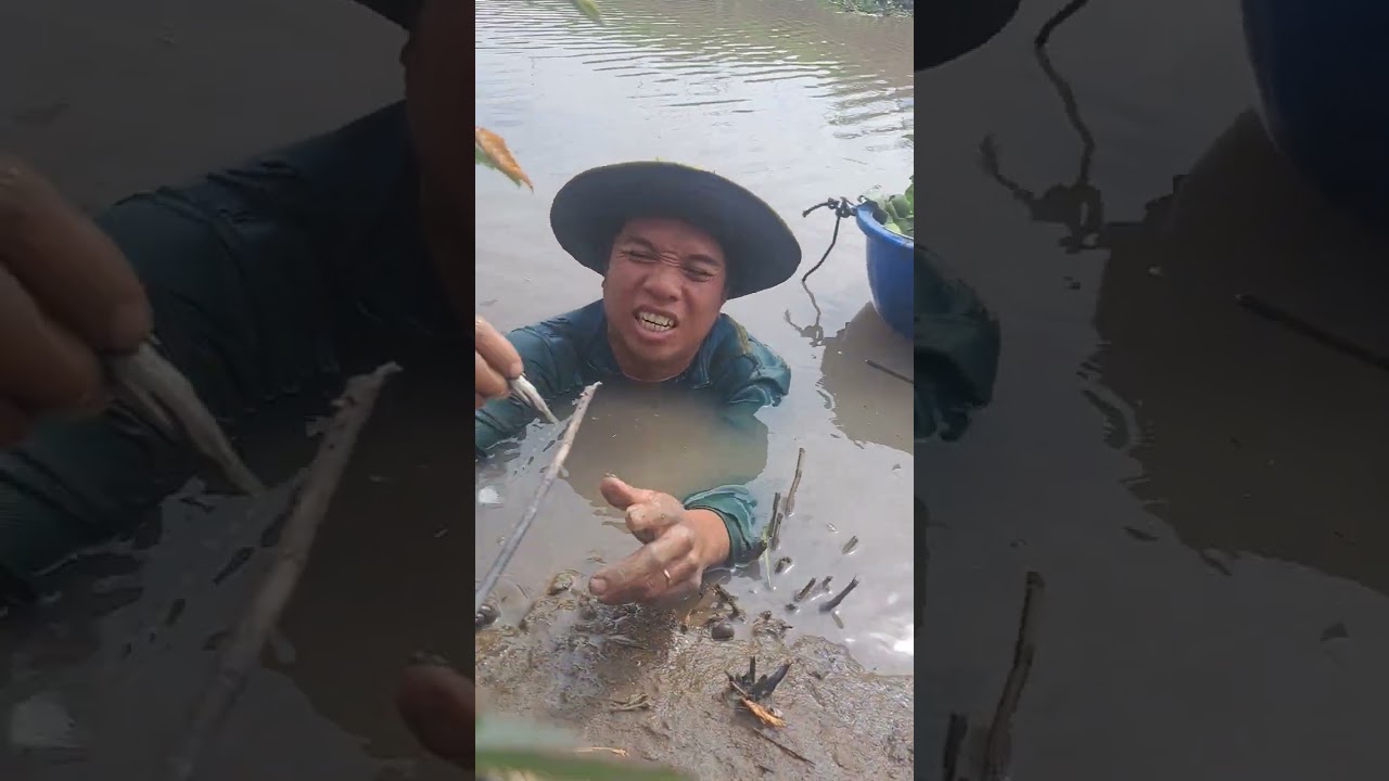 Mò cá trong kênh 