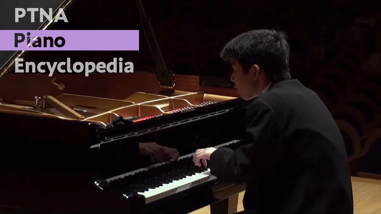 山﨑亮汰／リスト：メフィスト・ワルツ第1番 「村の居酒屋での踊り」 Liszt - Mephisto Waltz No. 1, S.514/R.181（PTNA2014コンペ全国決勝／特級グランプリ）