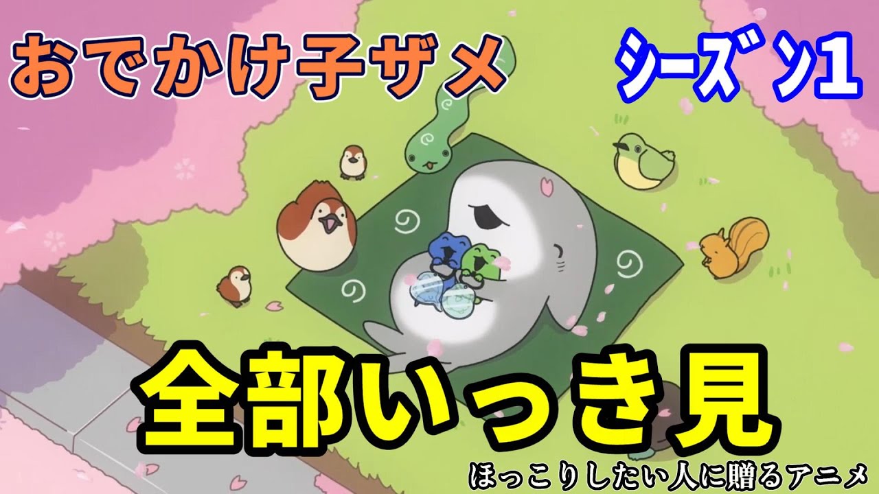 【おでかけ子ザメ】第６０話までシーズン１　全部いっき見　ほっこりしたい人に贈るアニメ　【切り抜き】