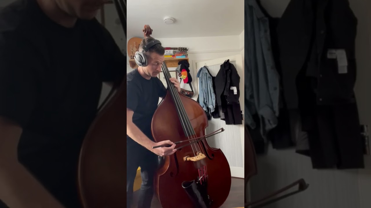 The Swan - Saint Saens on Double bass