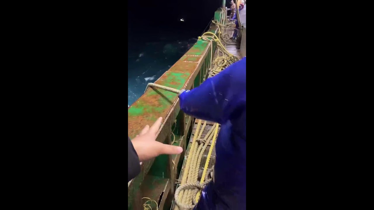 LIVE📹 | Net Fishing in the Pacific Ocean. 