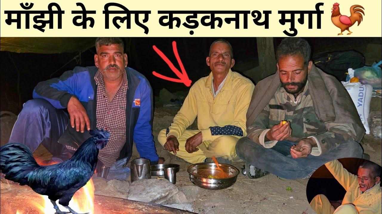 WINTER NIGHT🔥CAMPING,COOKING KADAKNATH CHICKEN IN DEEP FOREST. WINTER NIGHT CAMPING WITH SHEPHERD'S 