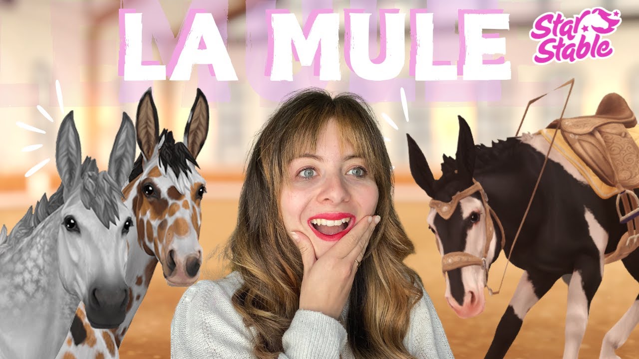 L'achat des MULES avec TIRAGE AU SORT sur Star Stable Online 😍 (+ léger coup de gueule)