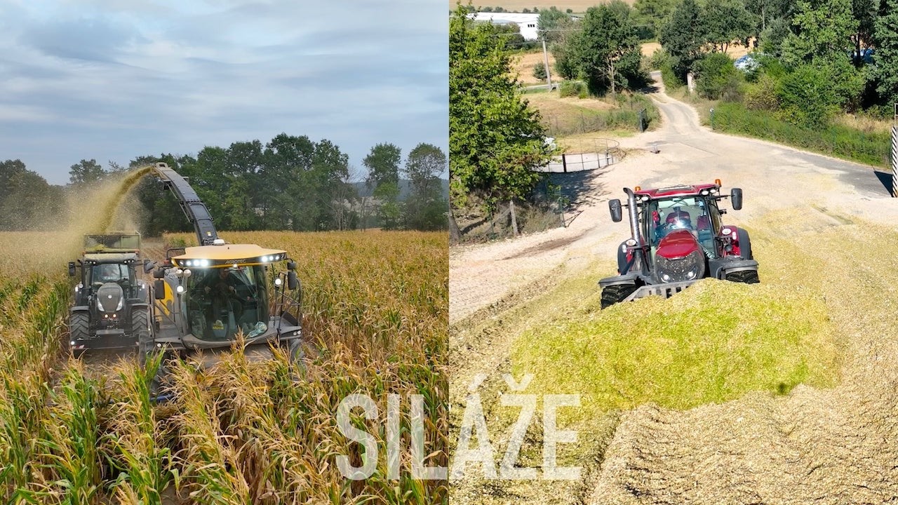 New Holland FR650 v lince Zemědělské služby Martin Zbořil | Siláže | Corn Silage