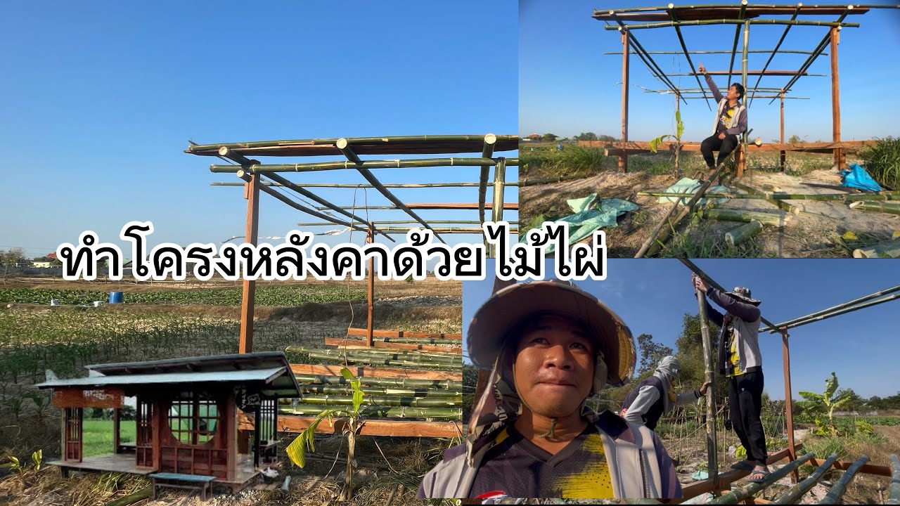 ทำโครงหลังคาเถียงนาด้วยไม้ไผ่ ￼Ep3