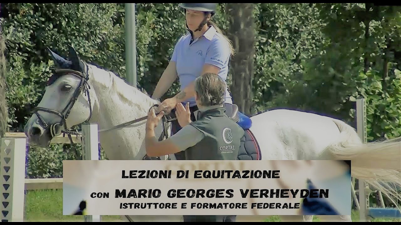 Affrontare un percorso esaltando i punti di forza del proprio cavallo