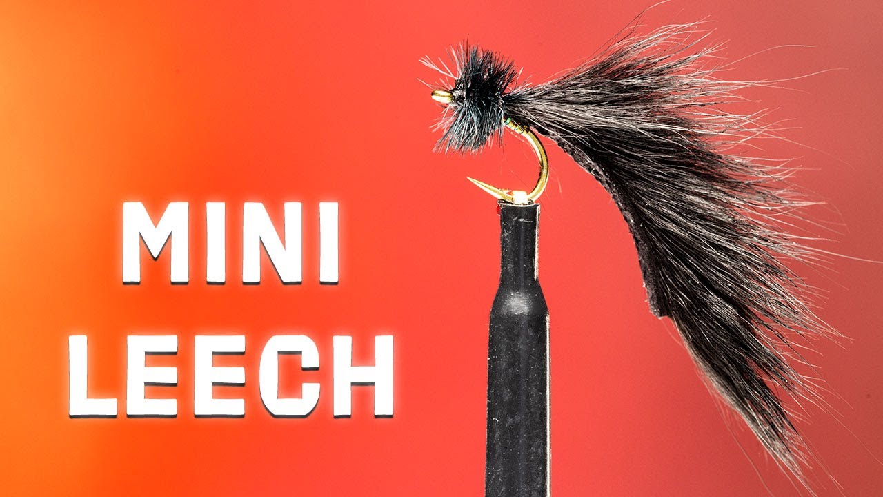 Mayers Mini Leech Fly Pattern | The Perfect Fly for Catching Trout | Fly Tying Tutorial