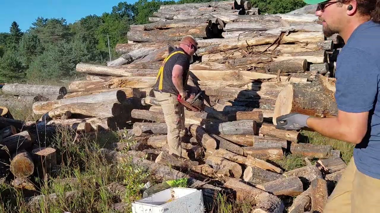 Firewood'n with a friend and a great saw