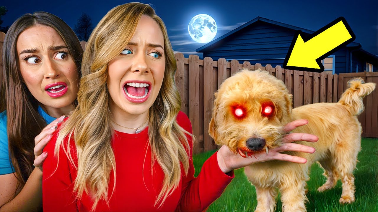 MY DOG IS POSSESSED…