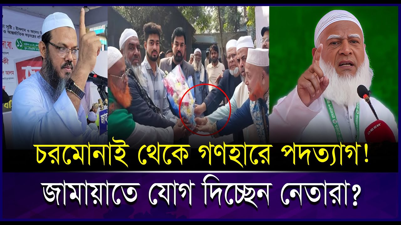 লাইন ধরে পদত্যাগ শুরু! কেনো চরমোনাই ছেরে জামায়াতে যাচ্ছেন নেতাকর্মীরা? | Jamat vs chormonai