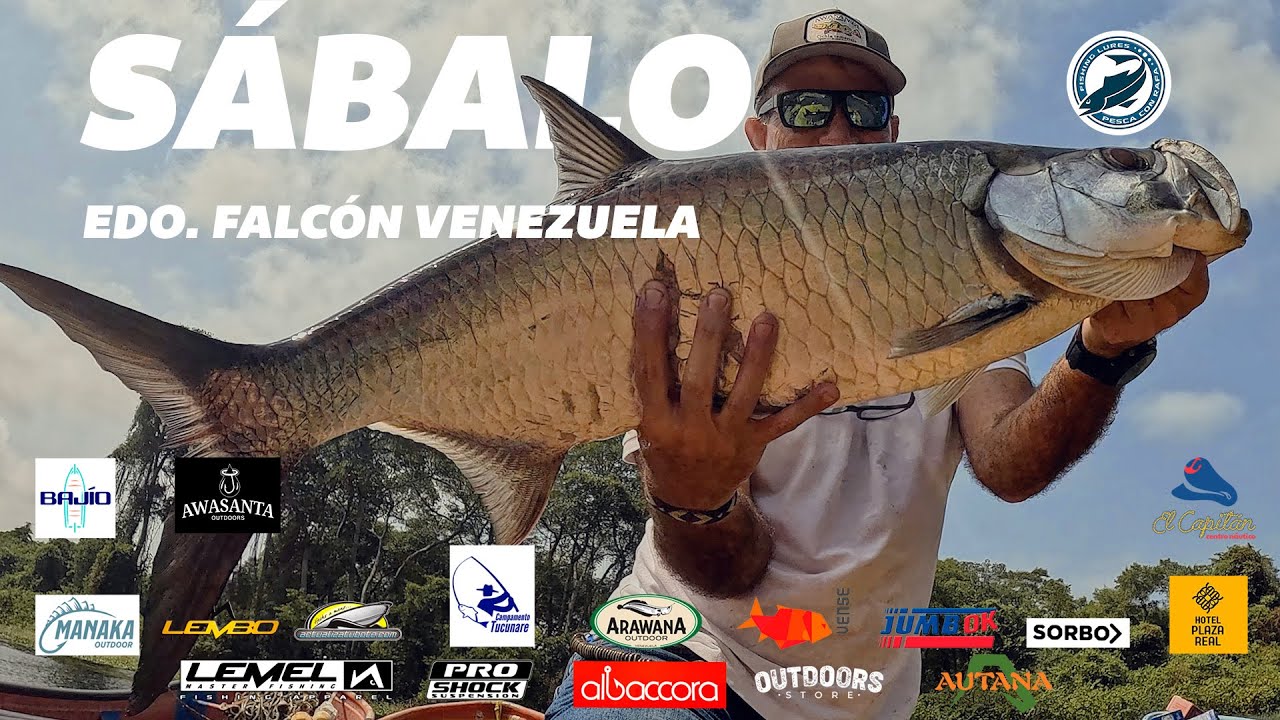 PESCA DE SÁBALO/EDO. FALCÓN VENEZUELA/PROBANDO SEÑUELOS