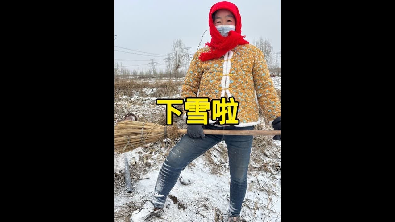 今天下雪啦，我们看到的雪景，种棚的农民伯伯看到的是棚顶上的“负担”，一大早他们就顶着冷风上棚扫雪，愿每一位冒雪守护大棚的农民伯伯，都能被生活温柔以待，雪会化，棚会绿，日子会越来越有盼头#下雪啦 #温