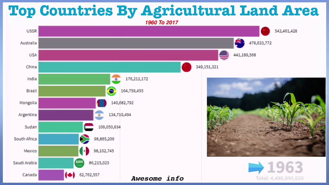 Top 13 Countries By Agricultural Land Area