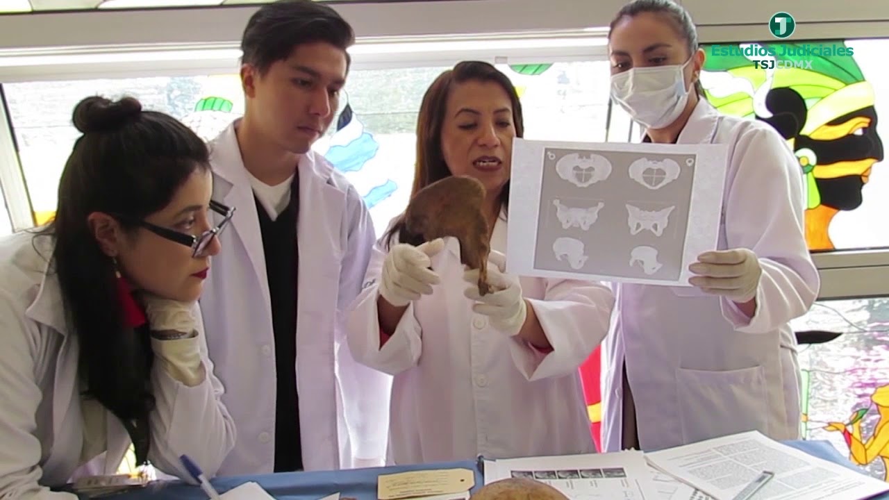 ¿Qué es la Antropología Forense?