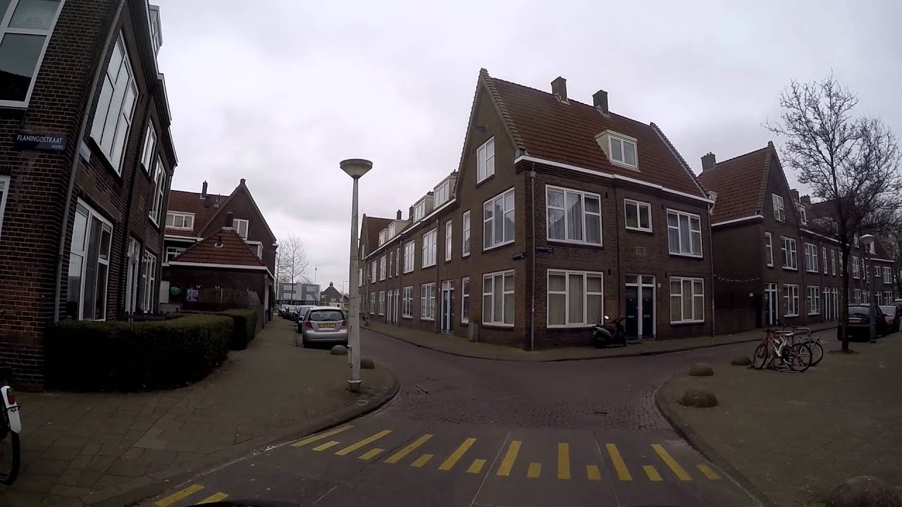 Amsterdam noord.  Vogelbuurt  omg. Meeuwenplein.  19-3- 2016.