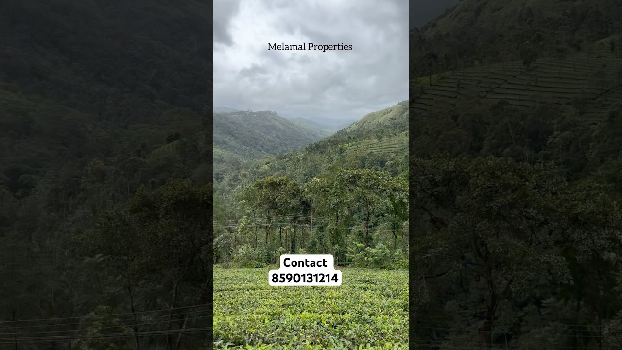 1 Acre Property For Sale In Vagamon