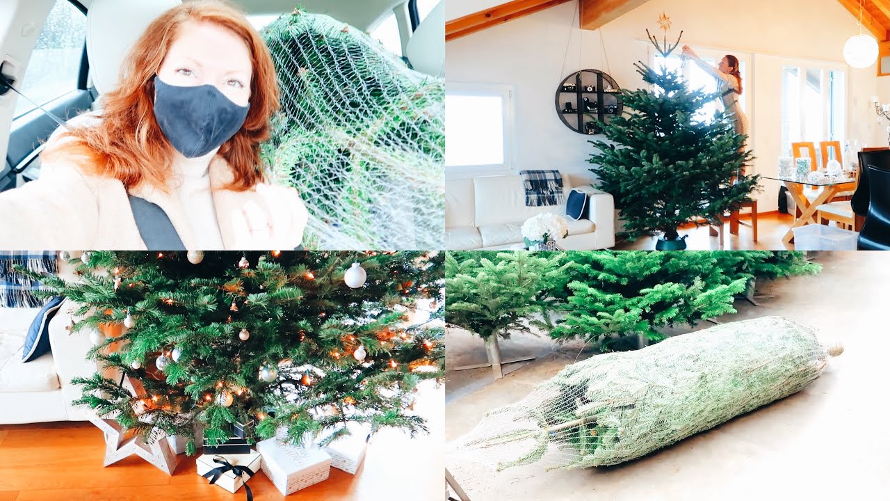 Hunting for a CHRISTMAS TREE | VLOGMAS -SWISSMAS 1.5 | Natalia S Ustinova