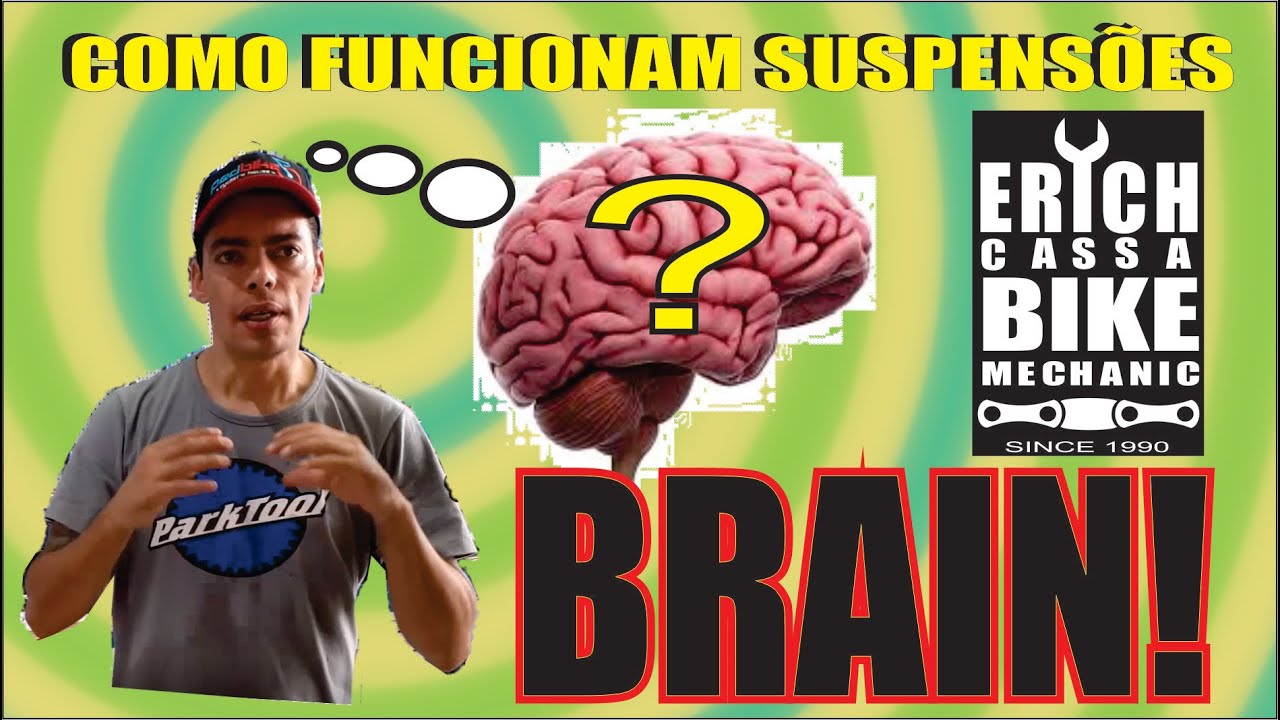 Como Funcionam as Suspensões BRAIN!