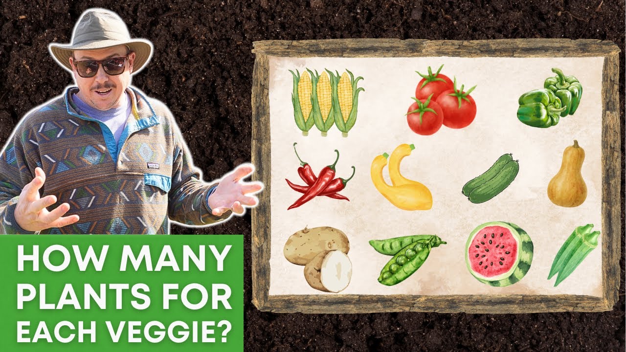 Exactly How Much to Plant for a Family Garden
