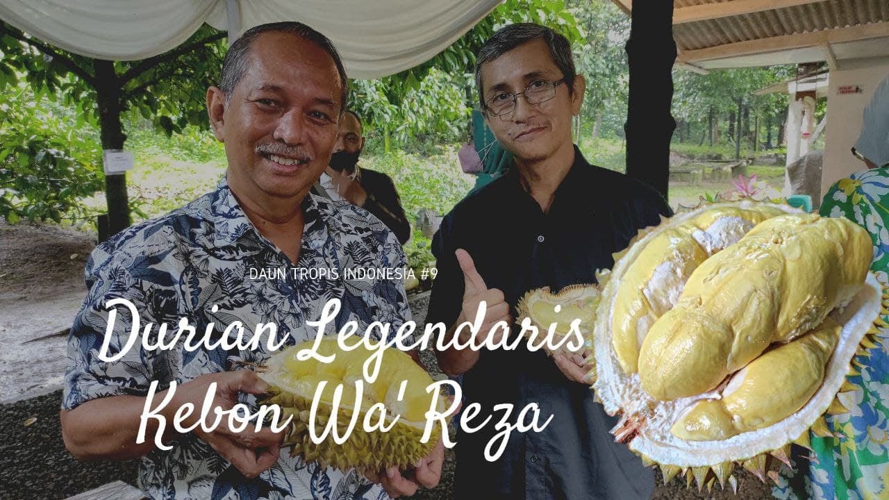 Cita Rasa Durian Legendaris Asli Indonesia