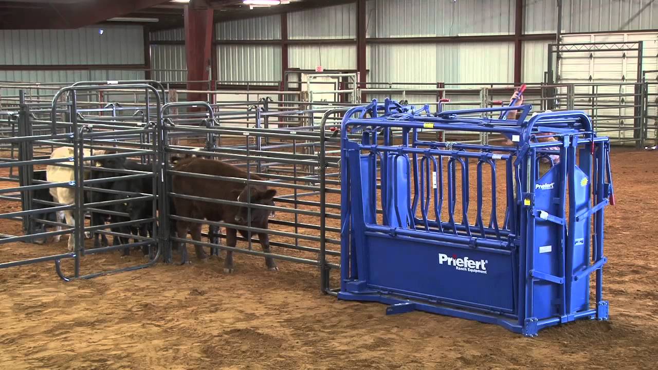Cattle Stockmanship Clinic held at McKinney, TX