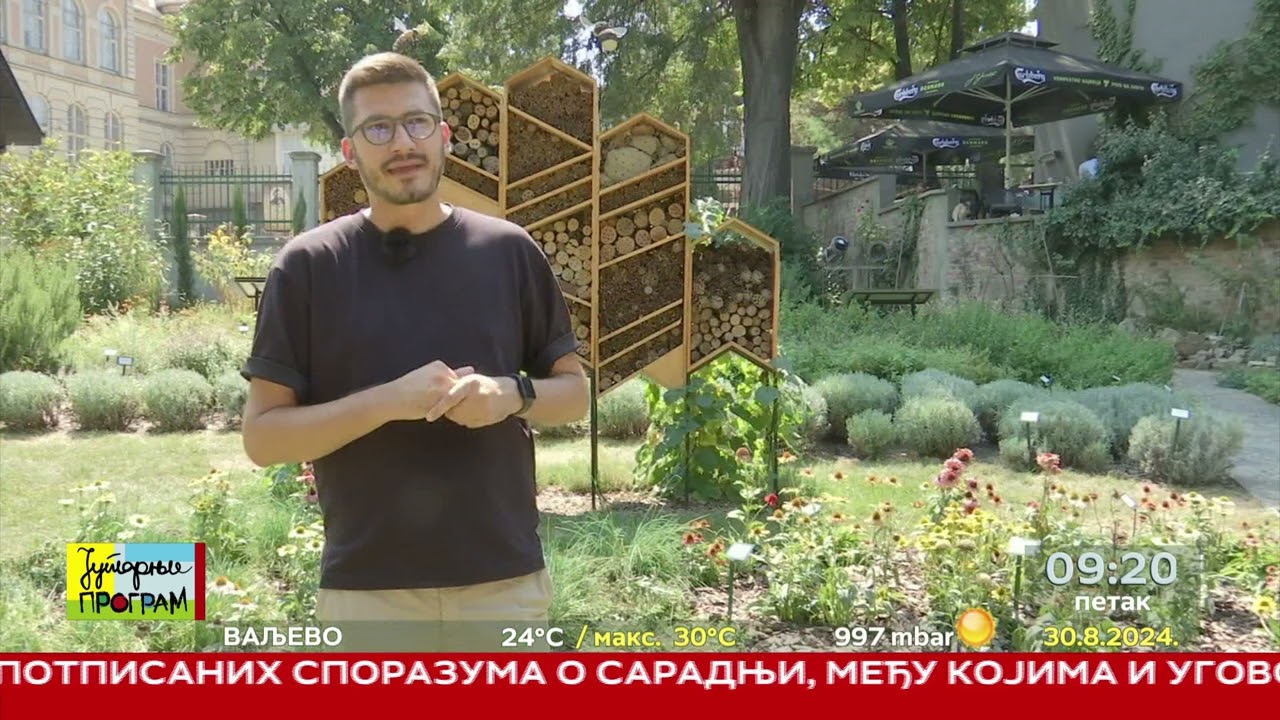 RTS JUTARNJI PROGRAM - Ritam vrta - Medonosno bilje