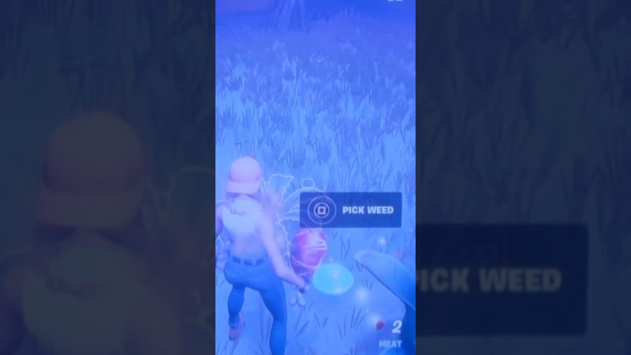 Weed in fortnite🤣
